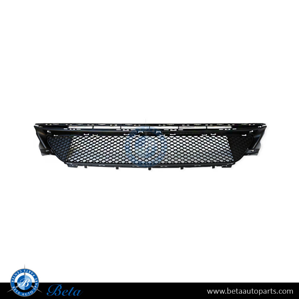 Front Bumper Lower Grille Avantgrade and Standard for Mercedes C-Class C205 2019-2021 models, Part Number 2058852501 Front Bumper Lower Grille Avantgrade and Standard for Mercedes C-Class C205 2019-2021 models, Part Number 2058852501